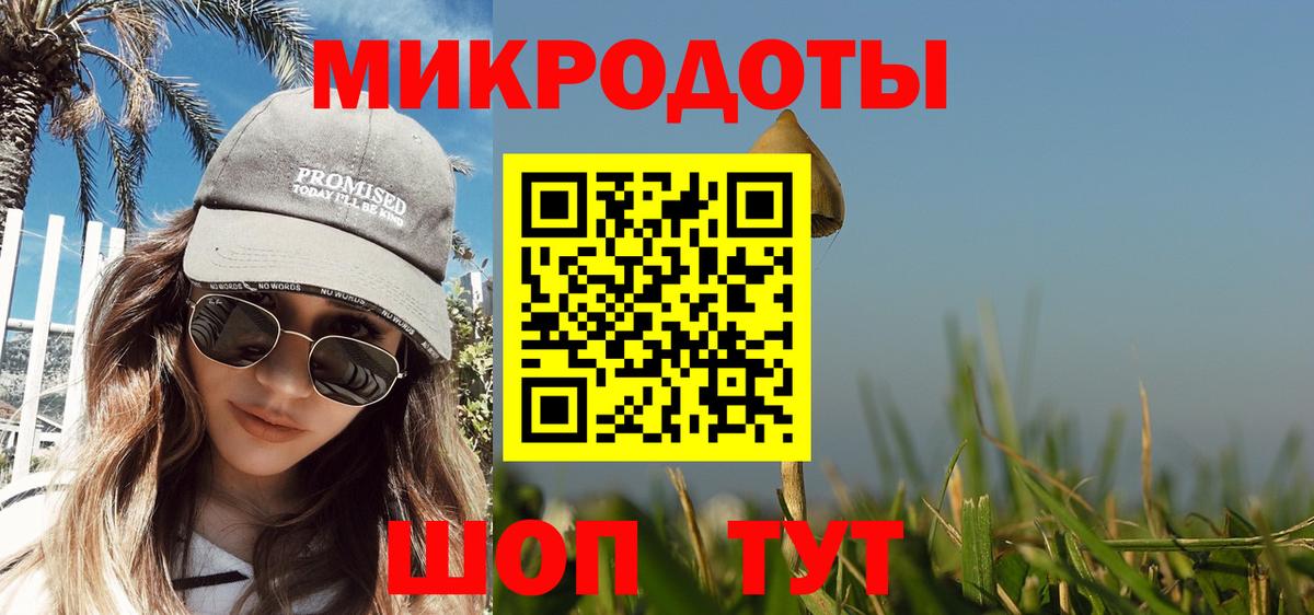 Сланцы  Псилоцибиновые грибы Psilocybe  Вход с VPN  Галлюциногенные грибы Magic Shrooms 