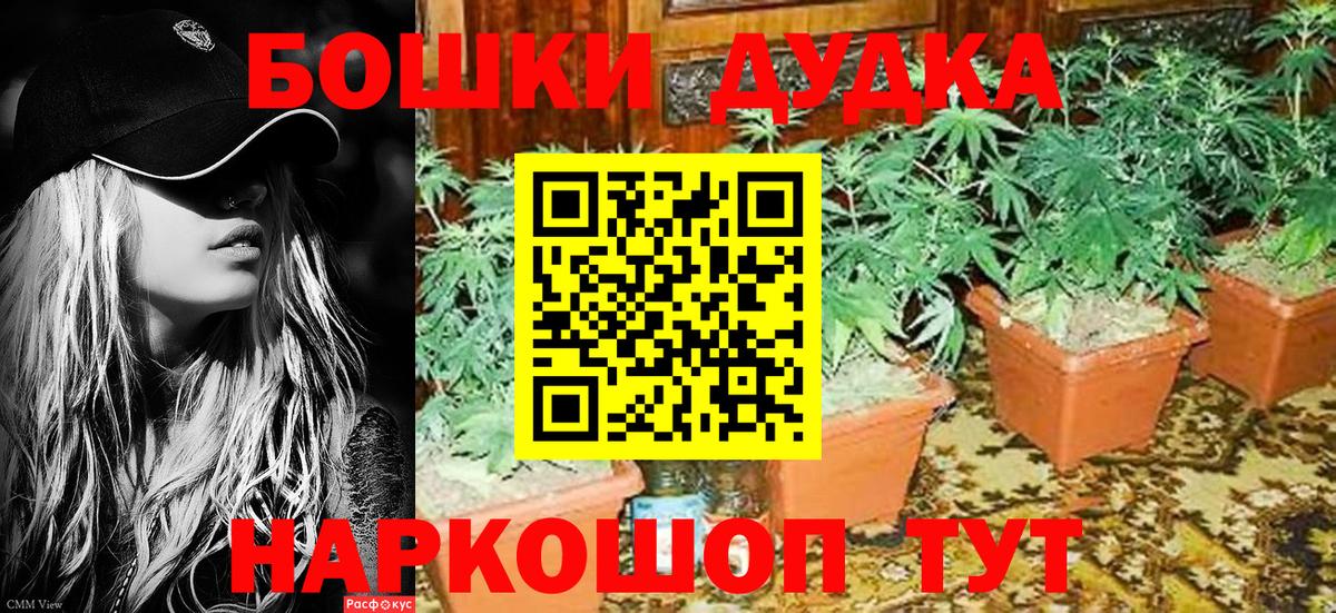 Канабис гибрид Сланцы